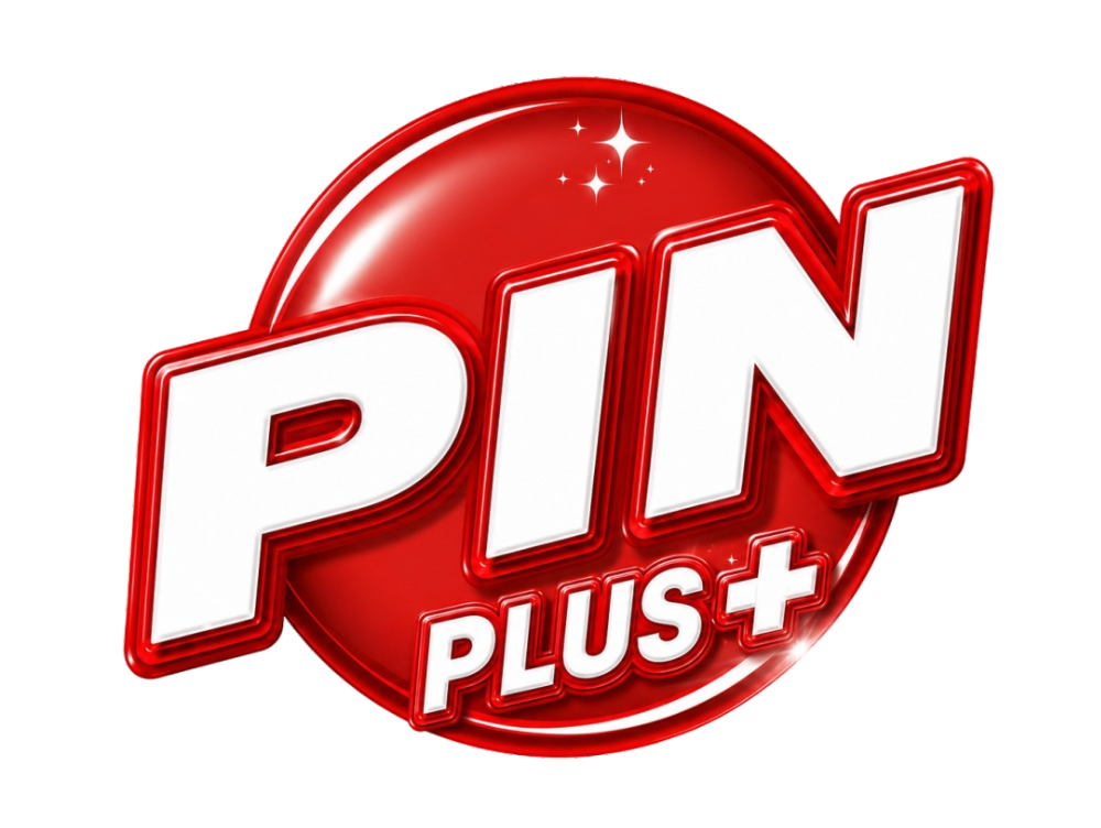 PIN Logo